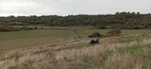 2 Caseria moto.jpg