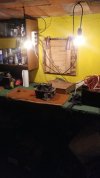 IMG-20221122-WA0006.jpeg