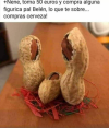 1669680386330.png