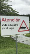 00F670AA-EFF6-4C09-879F-42C7771490CC.png