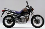 yamaxa-slr-650-2.jpg