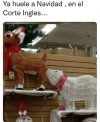 AAF5C01E-862D-45E5-9E46-7B60D5EA29D9.jpeg