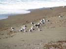IMG_0213.JPG