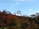 IMG_0316.JPG