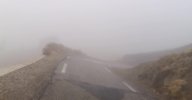 20220817_083541 - frame at 6m46s.jpg