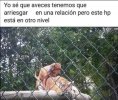 4C89E1E2-84EF-4DE7-9778-9C77719E5B9F.jpeg