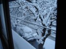 DSC01889.JPG