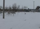 DSC01890.JPG