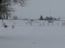 DSC01891.JPG