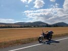 IMG_20220707_173047.jpg