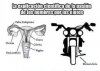 razón de la pasión de los hombres por las motos.jpg