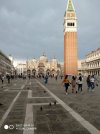 IMG_20190622_191038.jpg