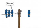 wifi.jpg