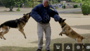 CD61F2CE-BF4F-423C-AD88-5603C834E76F.png