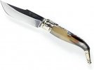31Pgg-72ySL._AC_SX450_.jpg
