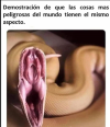 1676317706578.png