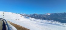 IMG_20230218_171625.jpg