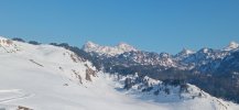 IMG_20230218_171727.jpg