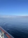 IMG_5950.jpeg