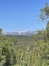IMG_6065.jpeg