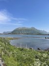 IMG_6184.jpeg