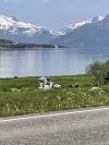 IMG_6176.jpeg