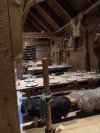 IMG_6188.jpeg