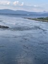 IMG_6273.jpeg