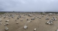 IMG_6289.jpeg