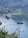 IMG_6431.jpeg