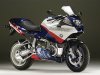 boxerCup_51331932243.jpg