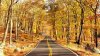 carretera-solitaria.jpg