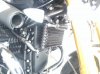 IMG_20160503_102005.jpg