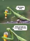 1680768343211.jpeg