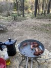 IMG_8917.jpeg