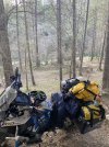 IMG_8903.jpeg