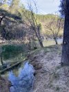 IMG_8919.jpeg