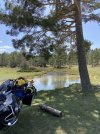 IMG_8956.jpeg