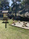 IMG_8964.jpeg