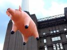 pinkfloid-animals4.jpg
