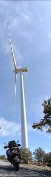 20230424_075227.jpg