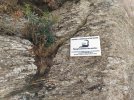 mirador el pedregal5.jpg