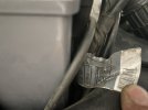 IMG_2829.jpeg