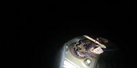IMG_20230518_222816_266.jpg