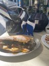 IMG_9315.jpeg