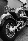 IMG_8844.jpeg