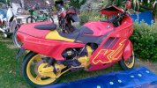 IMG-20171112-WA0000.jpg