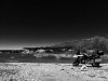 Gesita en Embalse de Yesa.jpg