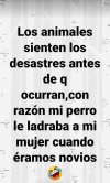 Screenshot_20230528_092316_WhatsApp.jpg