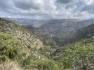 IMG_9059.jpeg